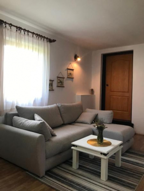 Apartman Jovana